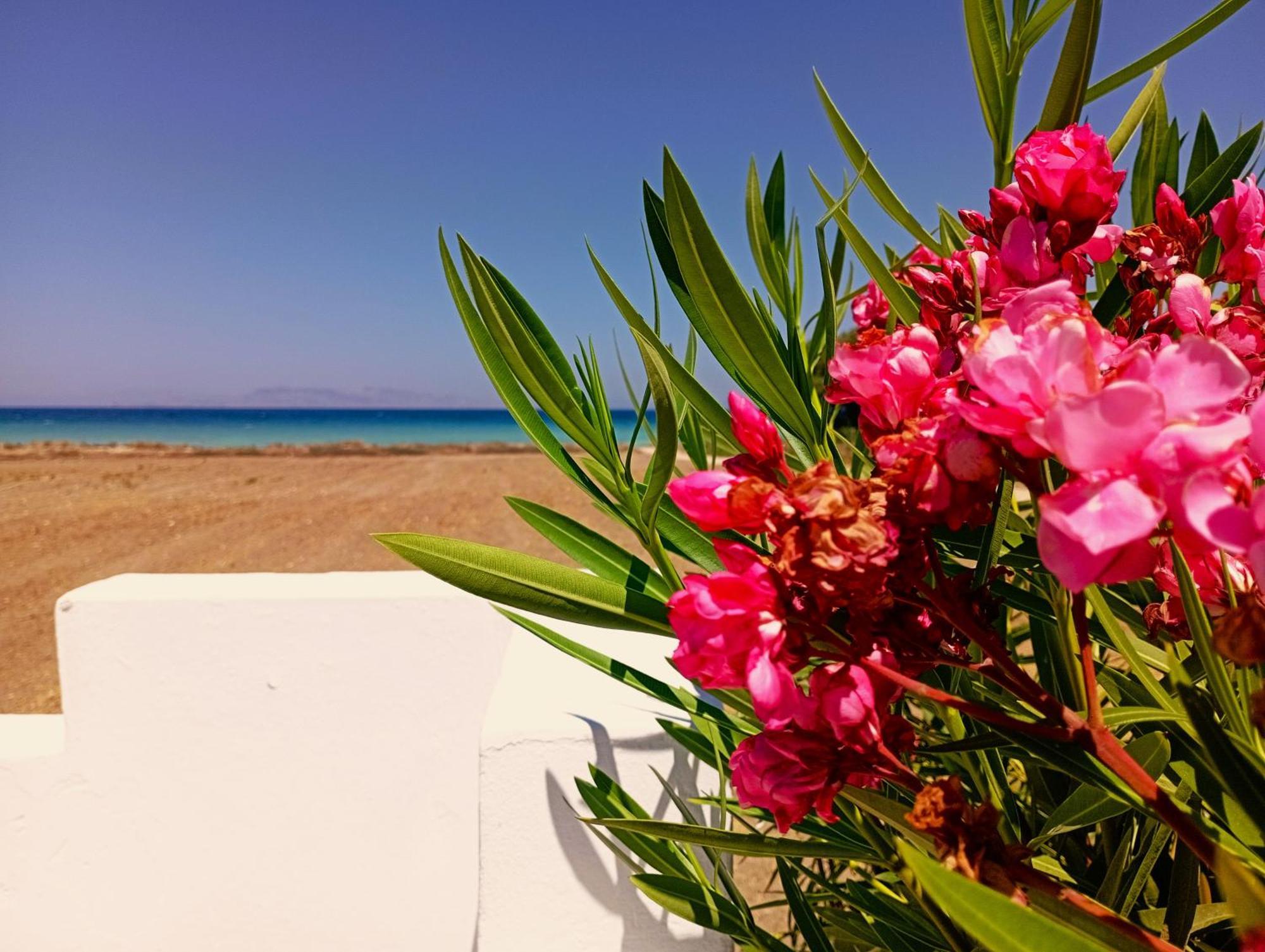 باراديسيون Nautilus Beach House المظهر الخارجي الصورة